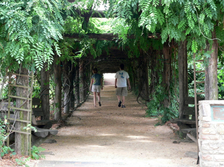 Coker Arboretum, United States